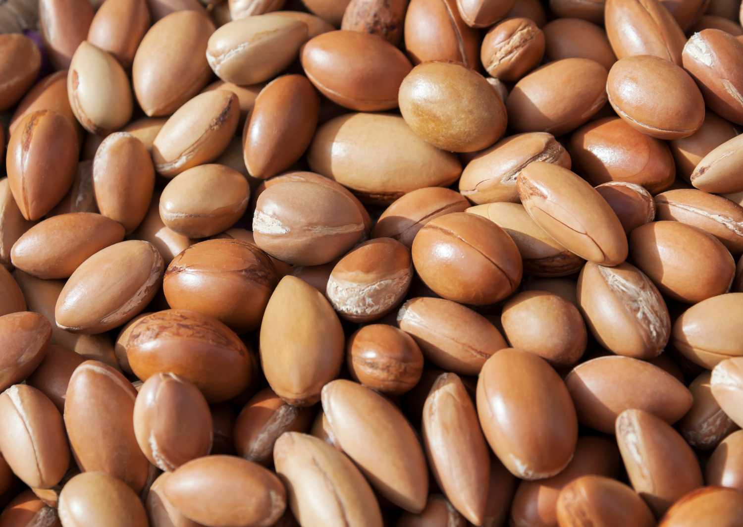 Un gommage à base de coques de noix d’Argan