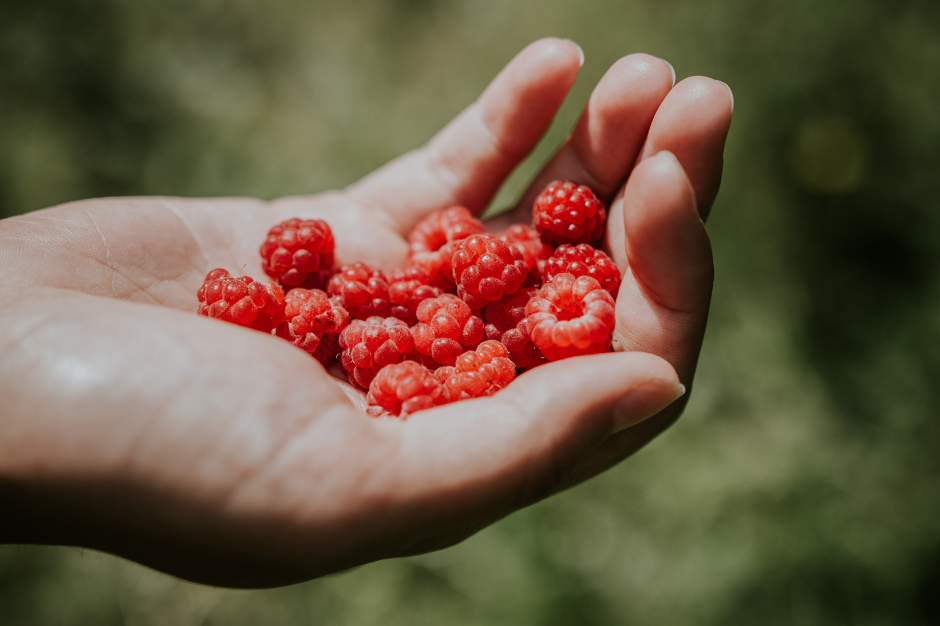 L'HUILE DE FRAMBOISE ET SES BIENFAITS SUR LE CORPS